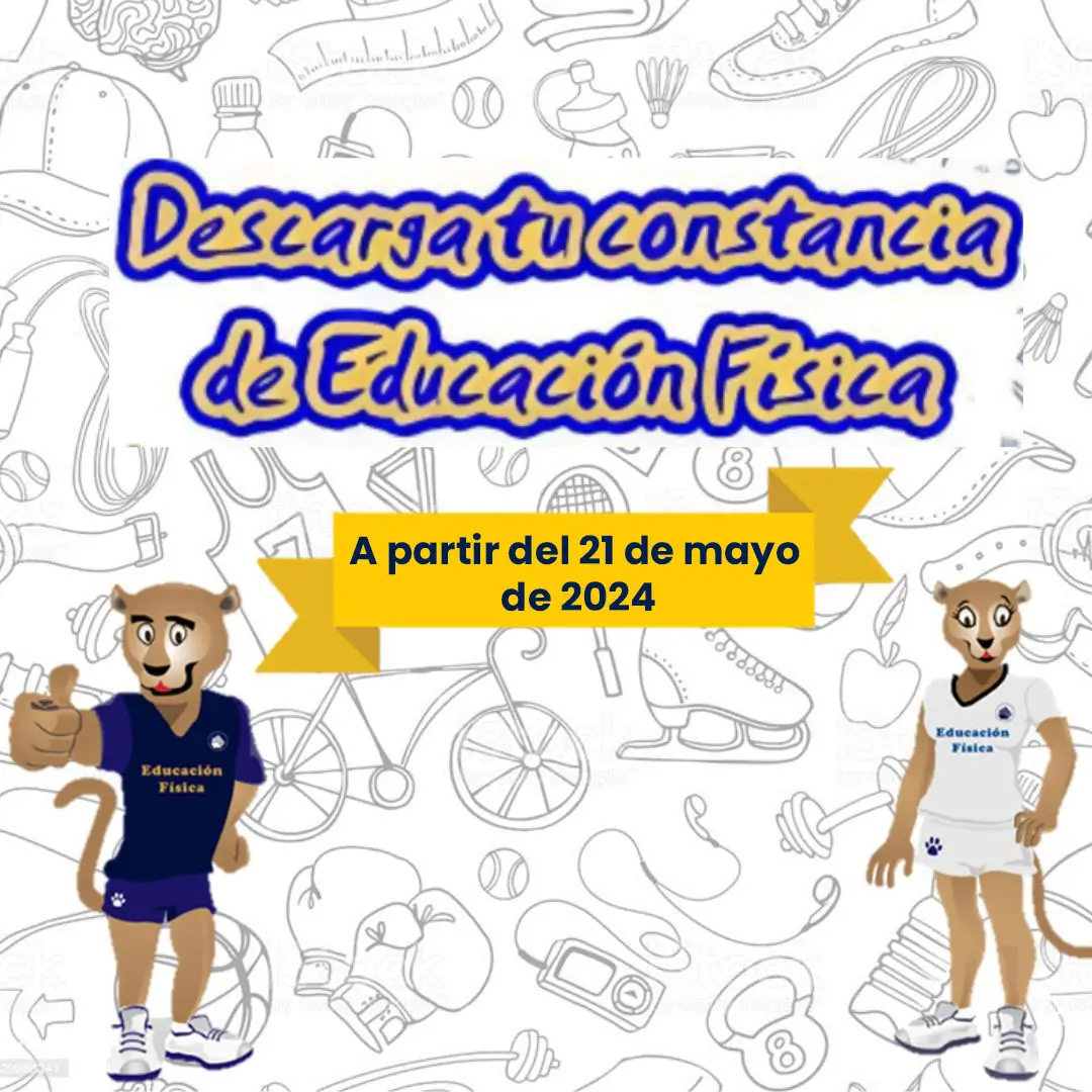 Constancia de Educación Física 2024